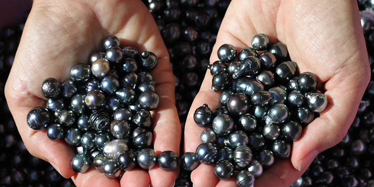 Wearing and Styling Black Pearls